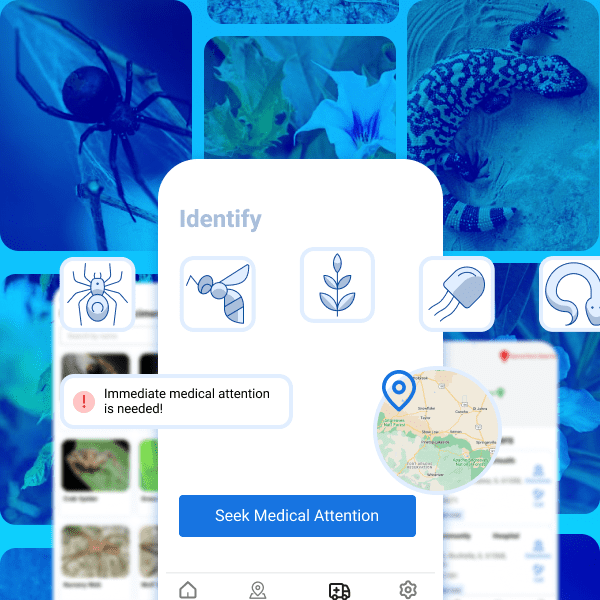 Life-saving app for contact with dangerous species in nature